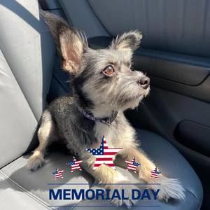 Meet your Posher, Carol